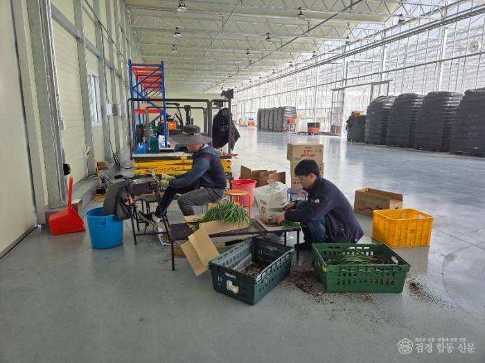 1-1. 스마트팜 출하.jpg