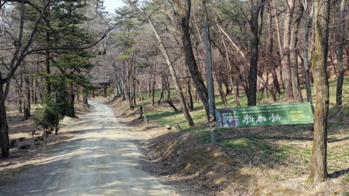 [추가]1-8. (홍보전산과)김룡사 앞 숲길(3).jpg