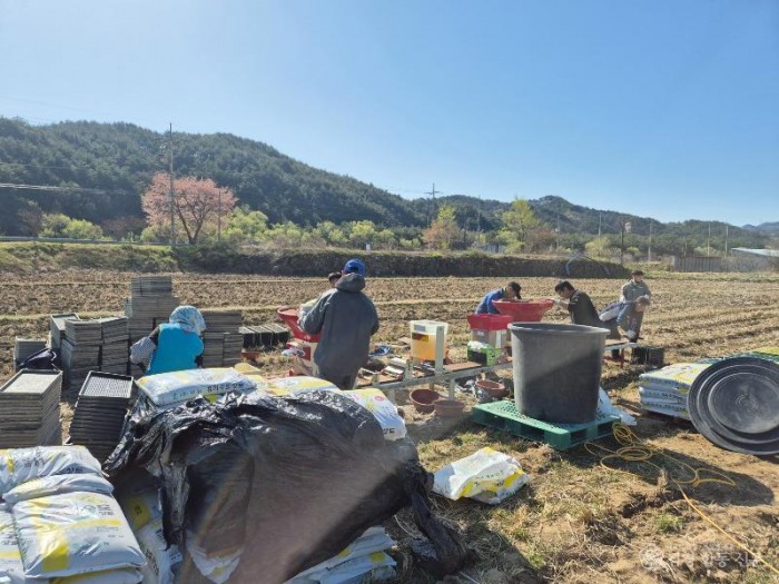 1. 벼 재배 농가를 대상으로‘못자리 10일 늦추기 운동’을 본격 추진(지난해 못자리)3.jpeg