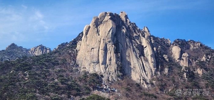 1773260386885 (2).jpg