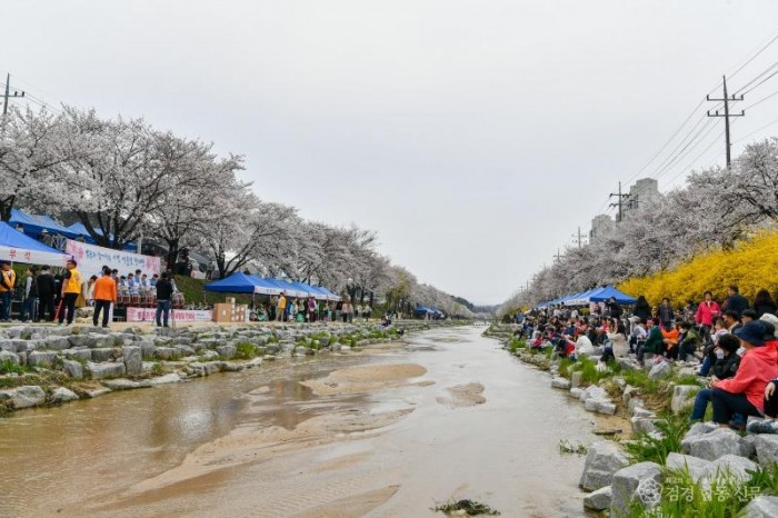 영주-2-2 (참고사진)영주시, ‘벚꽃과 함께하는 시민 어울림 한마당’ 개최 모습.jpg