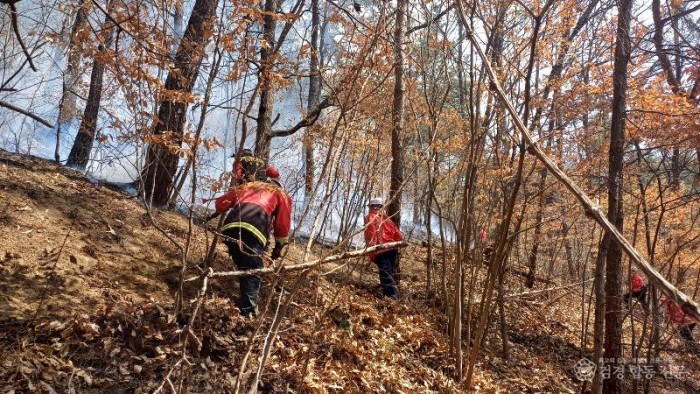 01의성군제공 산불 전방위 대응체계 가동1.jpg