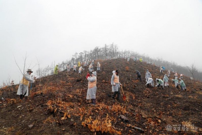 0329 안동시  일상 회복 위에 새로운 미래를 그리다 (4).JPG