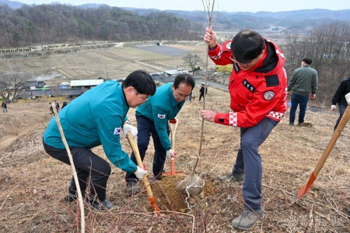 영주-1-3 장수면 화기리 일원에서 나무 심기를 하고 있다(왼쪽부터 손성호 시의원, 엄태현 영주시장 권한대행, 황병철 팀장).jpg