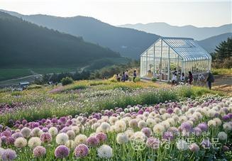 5. 청년마을 전경(조감도).jpg