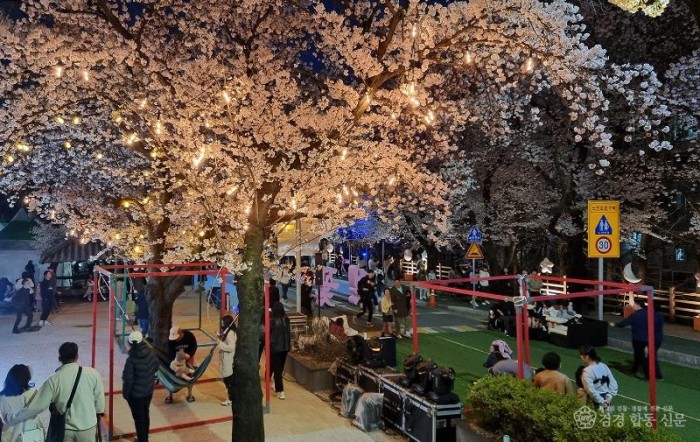 0331 안동 낙동강변서 ‘2026 벚꽃축제’ 개최 (3).jpg