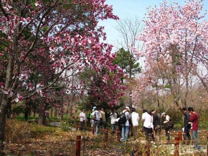 260401 포항 기청산식물원, ‘꼭 가봐야 할 수목원 10선’ 3년 연속 선정 쾌거1.JPG