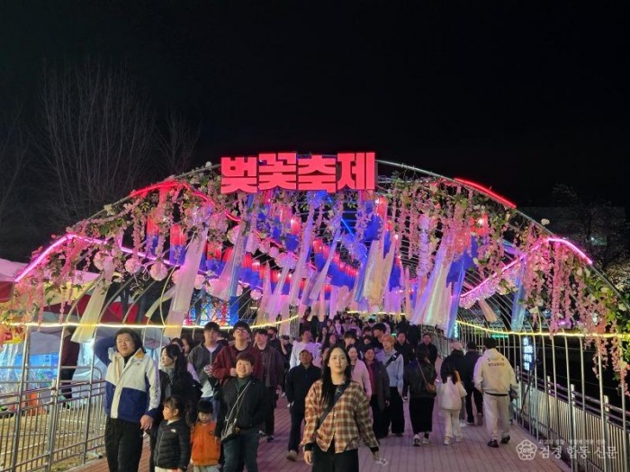 0402 안동 벚꽃축제 성황 속 개막 (1).jpg