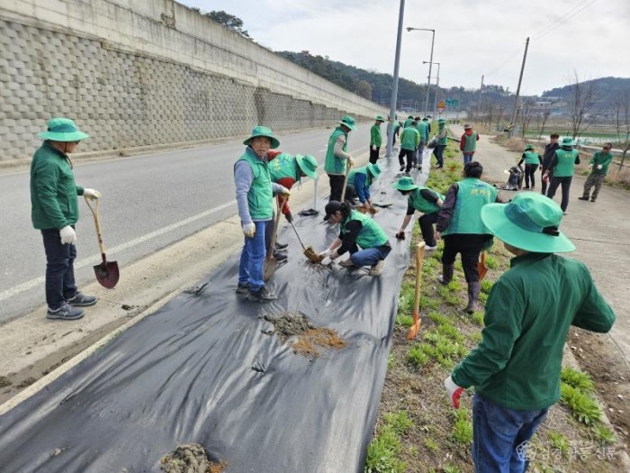 1-2. (새마을체육과)새마을 식목일 나무심기 작업모습 1..jpg