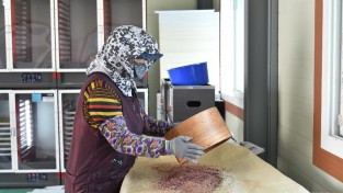 260408보도자료(청송군, 이상기상 맞서 사과 안정 생산 총력... 꽃가루 배부) (1).jpg