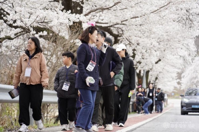 4-1. (관광진흥과)벚꽃 트레킹.JPG