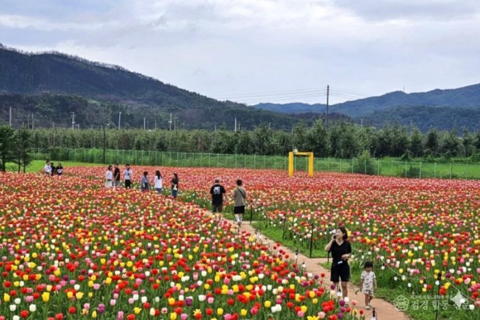 0409 안동포타운  안동포세대공감페스타 개최 (2).jpg