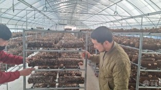 3. 신규농업인 현장실습교육.jpg