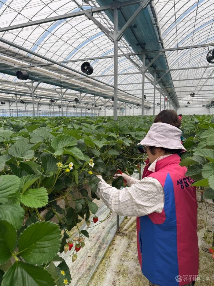 16일 (생활개선홍성군연합회, 탄소중립 환경정화 활동 전개 2).JPG