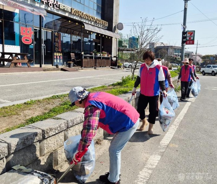 16일 (생활개선홍성군연합회, 탄소중립 환경정화 활동 전개 3).JPG