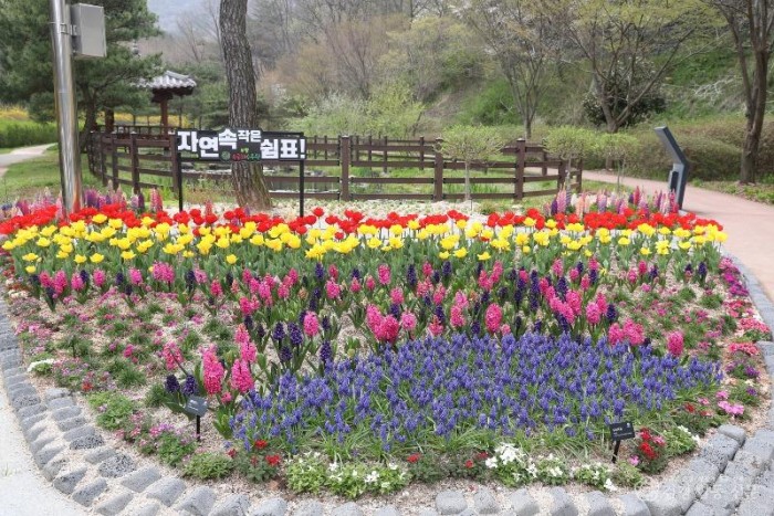 1. 무궁화수목원(4월 14일 기준) (3).jpg