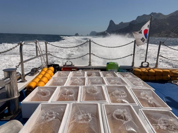 ⑥어린_독도새우_방류(방류해역-울릉군_학포항_앞바다).jpeg