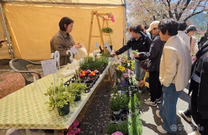 3. 성류굴 입구에서 열린‘여울진 꽃케이션’ 플라워마켓이 화창한 봄날 벚꽃비 속에서 성황리에 마무리 됐다.4.jpg