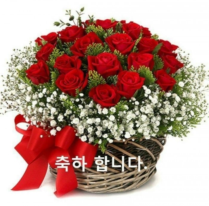 KakaoTalk_20260409_164657361_12 (1).jpg