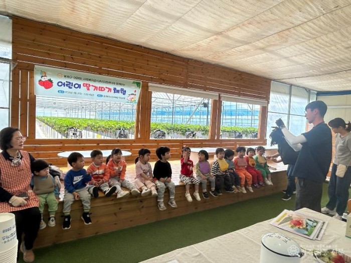 2-3.딸기 따기 체험 행사 .jpeg
