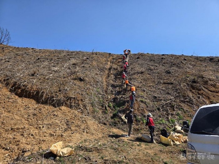 0420 안동시  산불 피해지 복원 위한 ‘봄철 조림 사업’ 총력 (2).jpg