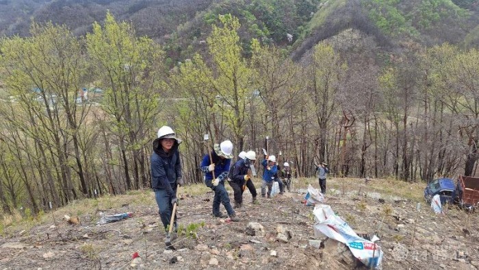 0420 안동시  산불 피해지 복원 위한 ‘봄철 조림 사업’ 총력 (3).jpg
