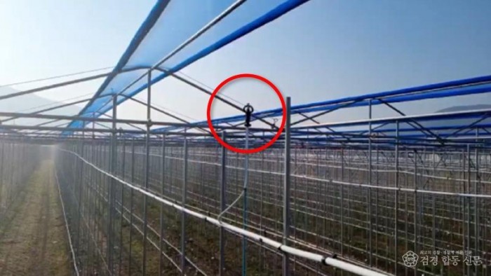 0421 안동시  스마트농업 솔루션으로 사과 생산 안정성 확보 (2)-미세살수.jpg