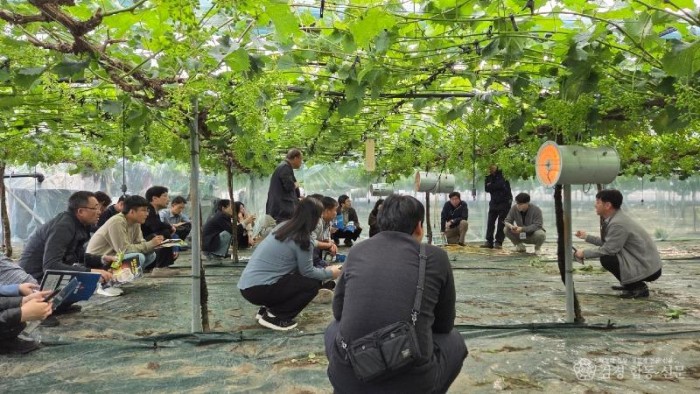 김천시, 포도전문지도연구회 과제교육 추진-기술지원과(사진1).jpeg