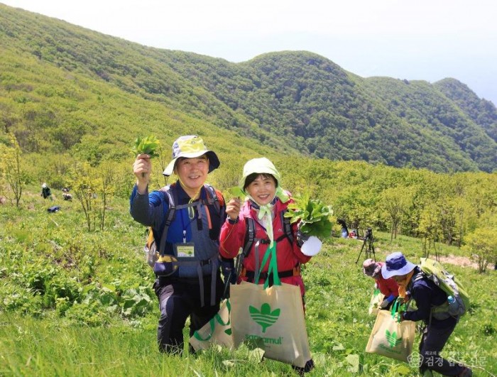 1-5. 사진(영양산나물축제, 5월 7일 개막 앞두고 준비 본격화).jpg