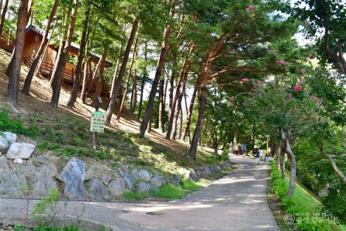 2. 고향사랑기부자 혜택‘울진사랑패스’시행‘(구수곡자연휴양림 휴양림 전경)3.JPG