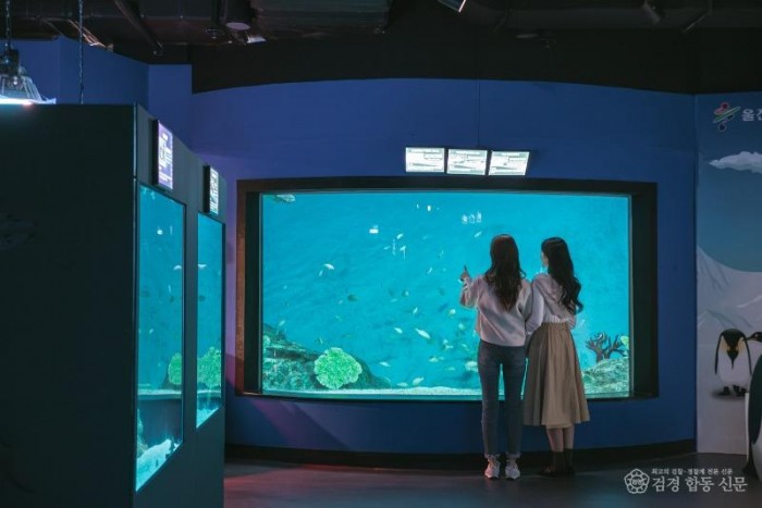 2. 고향사랑기부자 혜택‘울진사랑패스’시행‘(아쿠아리움)5.jpg