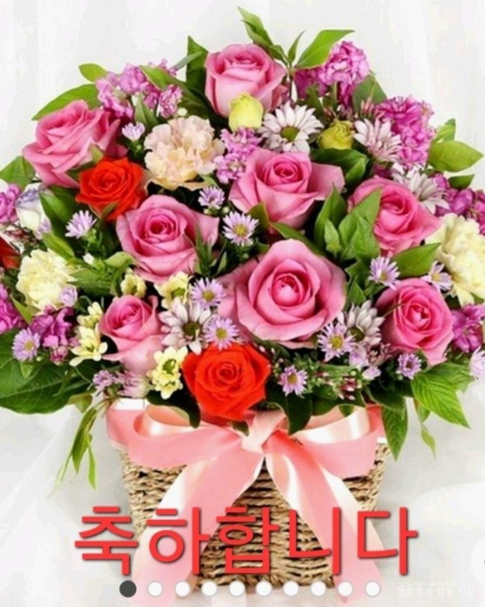 KakaoTalk_20260427_093916006.jpg