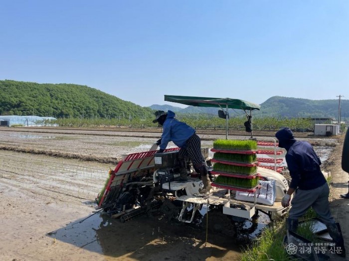 경산시 - 경산시, 올해 첫 모내기 실시.jpeg