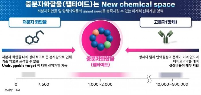 260428 포항시, 신약 개발 플랫폼 구축 탄력…과기정통부 공모사업 최종 선정 쾌거2.jpg