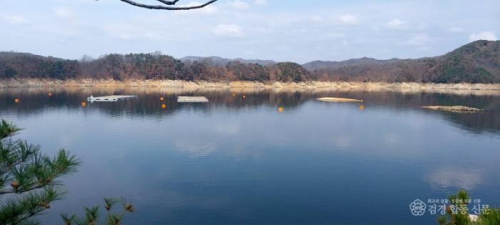 0510 안동 쇠제비갈매기 공존협의체 출범 (3).jpg