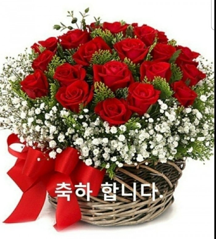 KakaoTalk_20221031_153305861.jpg