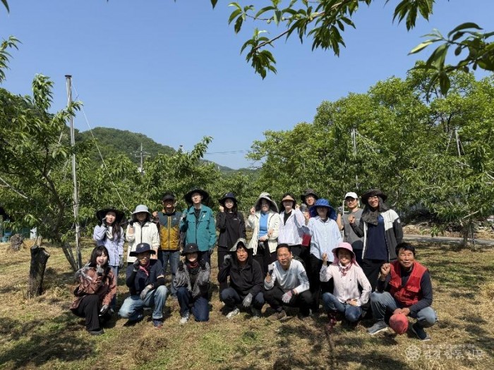 구성면, 영농철 맞아 복숭아 농가 일손돕기 ‘구슬땀’-구성면(사진1).jpg