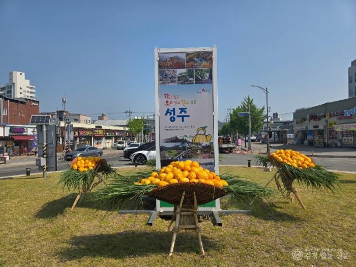 성주군사진(성주읍  회전교차로 참외지게 조성)-1.jpg