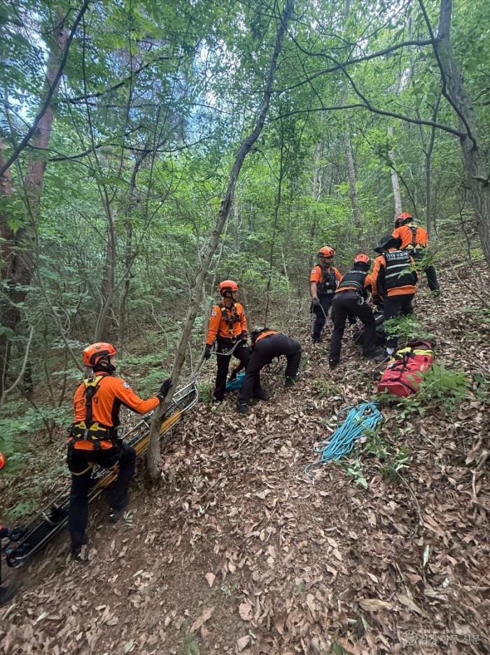 260515-1상반기 특수사고(산악)대비 1권역 합동훈련2.jpg