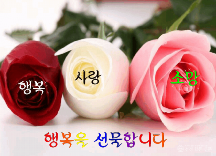 KakaoTalk_20251118_150350389_03.gif