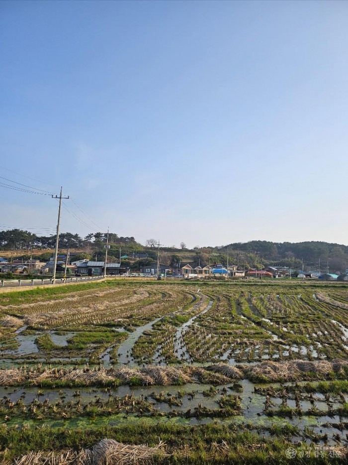 20250412_073833 - 복사본.jpg