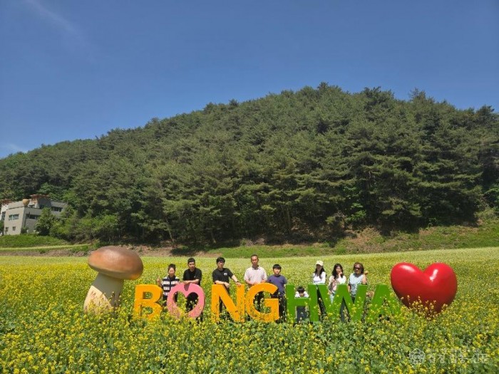 1-2. 봉화군, 춘양 애당리 꽃밭 절정 .jpg
