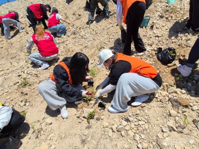 (이첩)(260529)_보도자료(GB대학사회봉사단_영덕산불피해_지역서‘희망나무_심기’봉사활동_펼쳐)_-_사진2.jpg