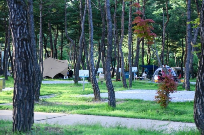 영주-2-3 영주호 오토캠핑장 캠핑사이트.jpg