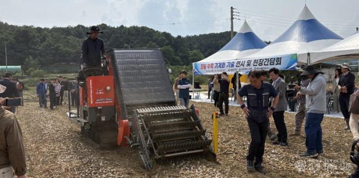 1 [사진] 영천시, 농촌진흥청과 마늘 수확 기계화 기술 현장 연시회 개최 (1).jpg