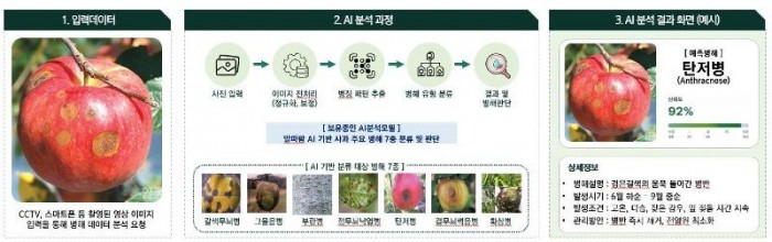 0610 안동시  AI 기반 예측 영농 체계 본격 구축 (3).jpg