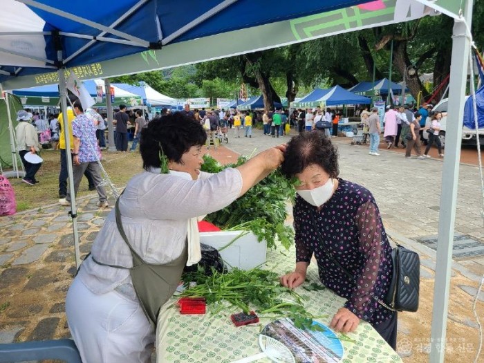 0622 제33회 안동길안단오제 성황리 폐막 (2).jpg