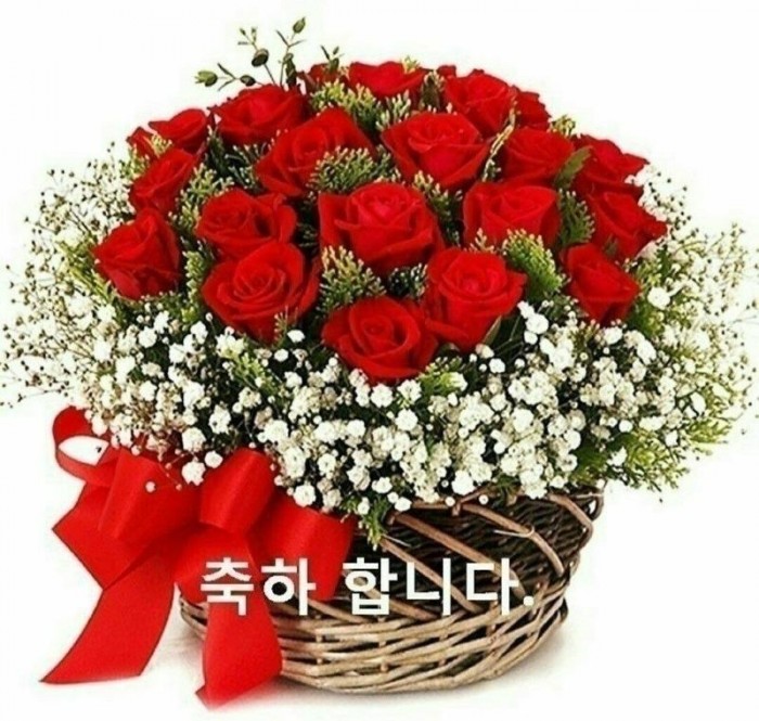 KakaoTalk_20241105_105220002.jpg
