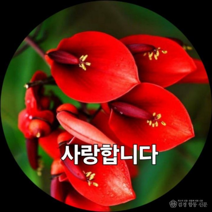 KakaoTalk_20260219_151056234.jpg