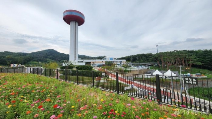 3.예당호 전망대 주차장 백일홍 개화 모습 (1).jpg